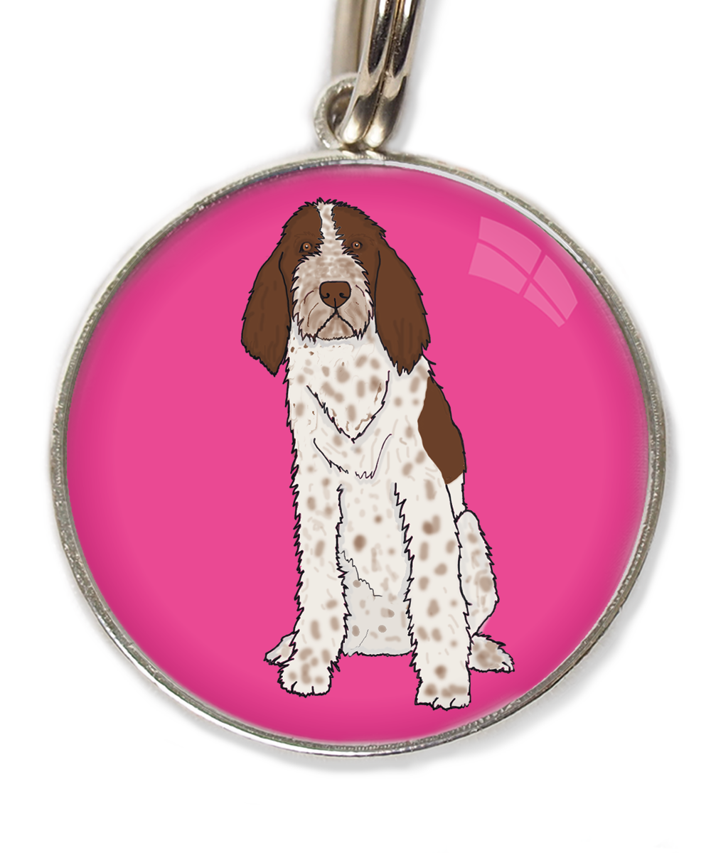 spinone-italiano-huisdierpenning-fushia