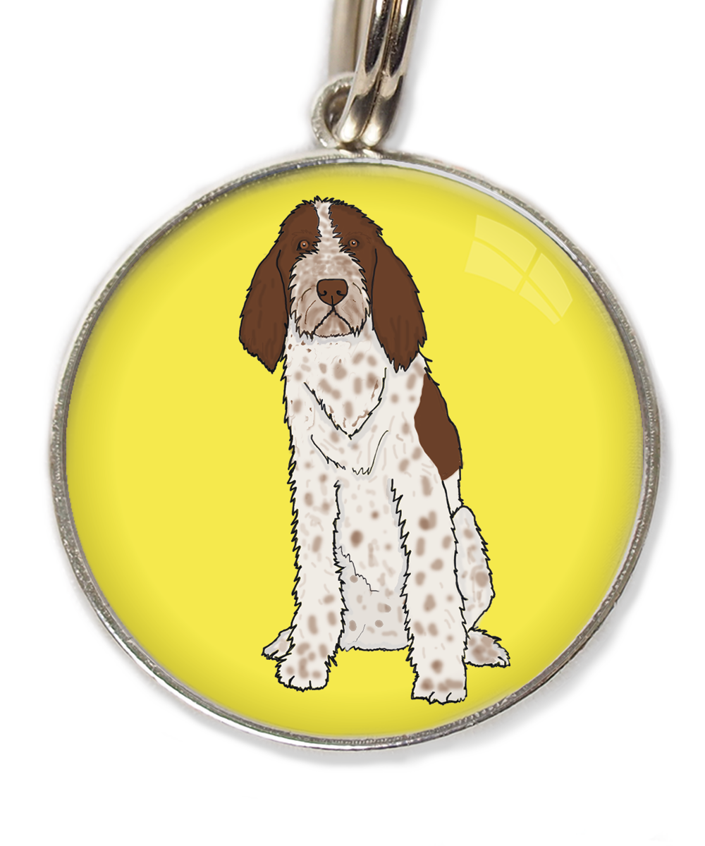 spinone-italiano-huisdierpenning-geel