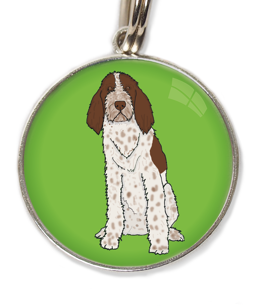 spinone-italiano-huisdierpenning-groen