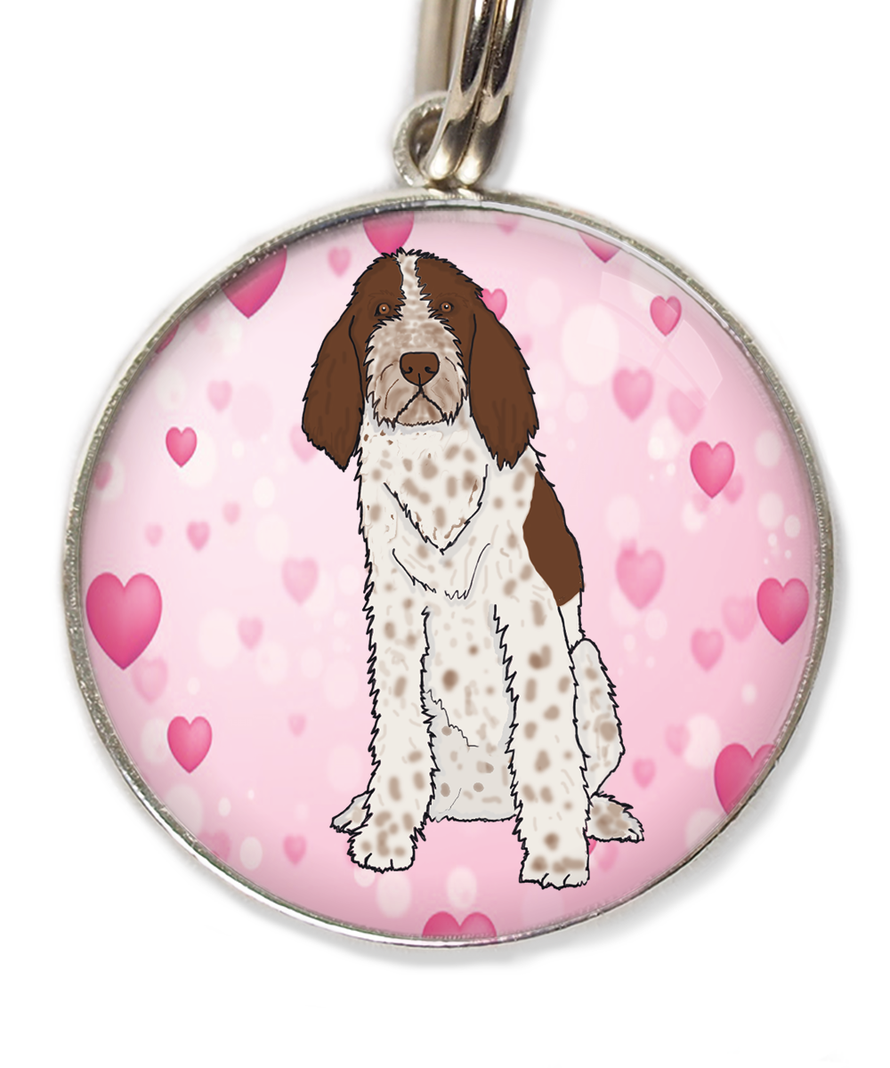 spinone-italiano-huisdierpenning-hartjes