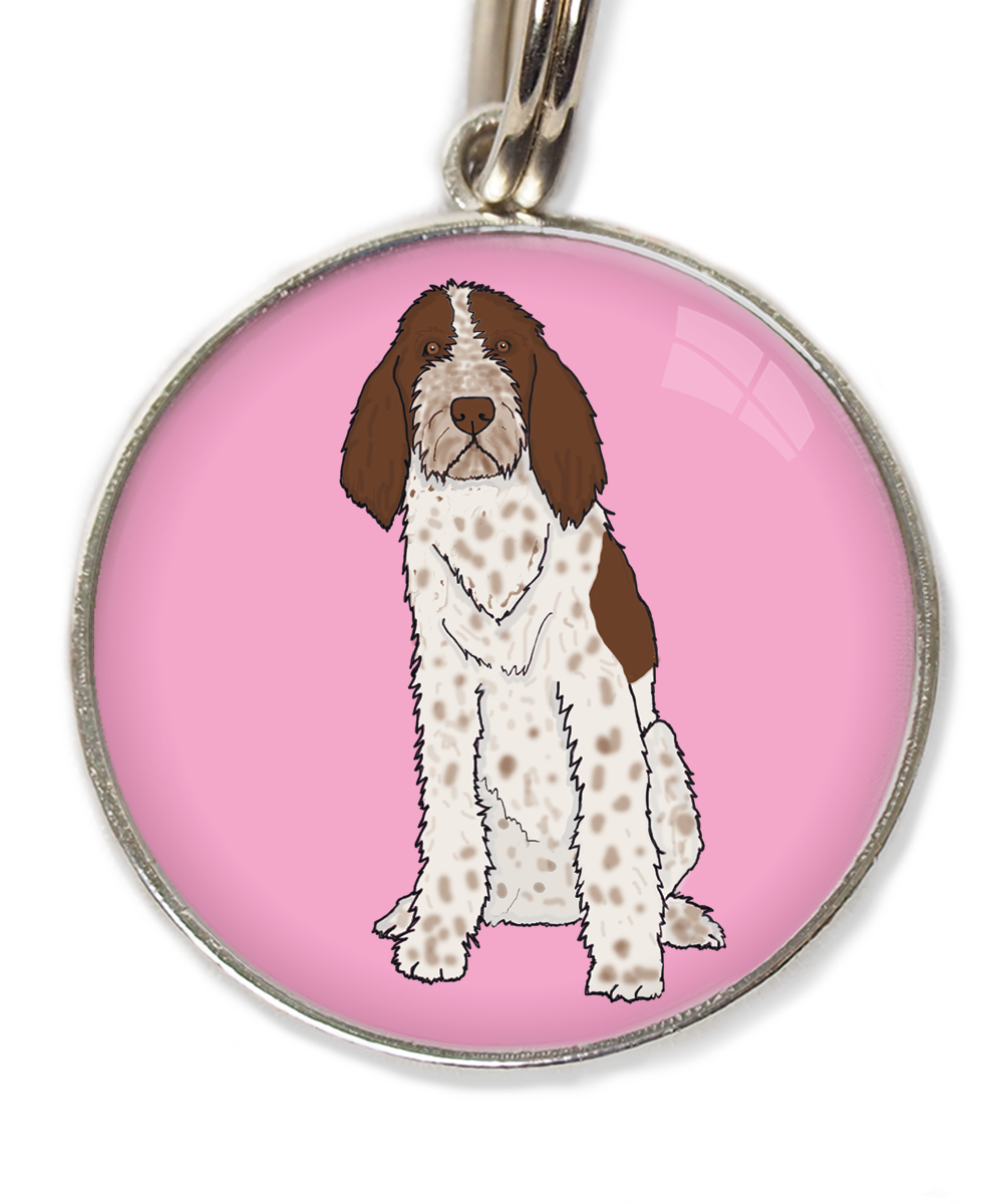 spinone-italiano-huisdierpenning-lichtroos