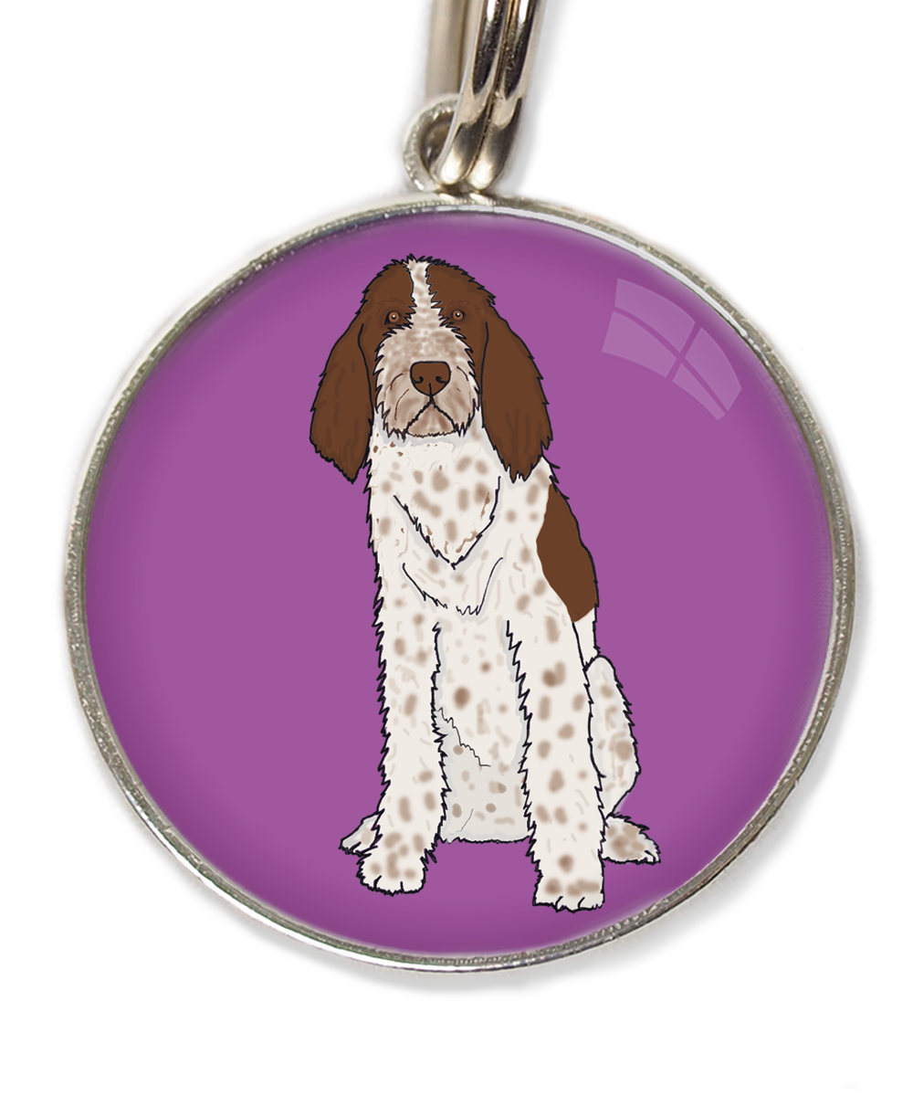 spinone-italiano-huisdierpenning-lilla