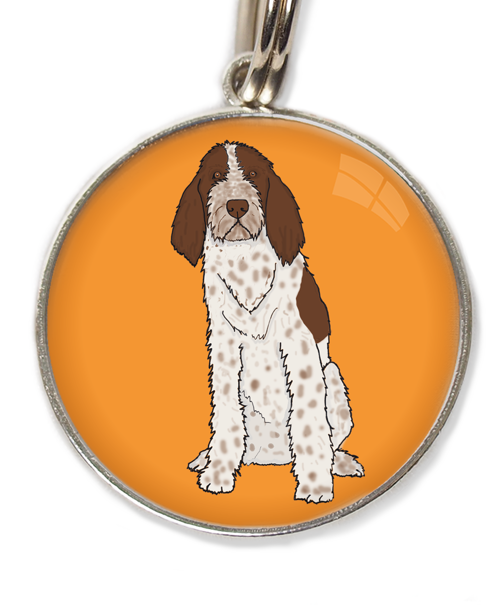 spinone-italiano-huisdierpenning-oranje