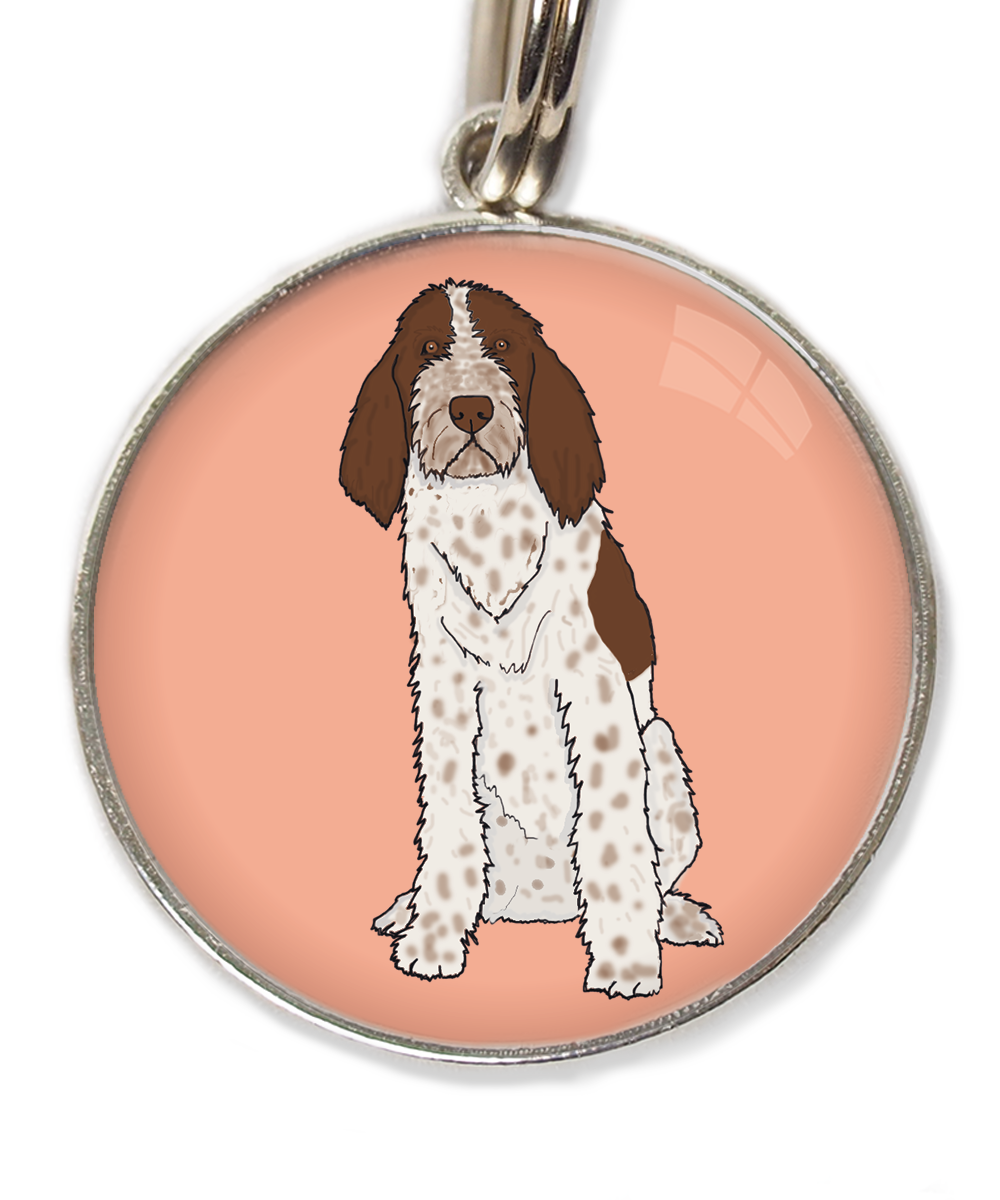 spinone-italiano-huisdierpenning-peach