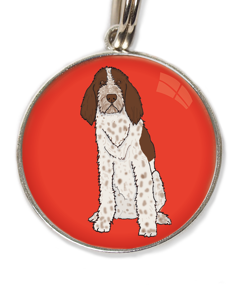 spinone-italiano-huisdierpenning-rood