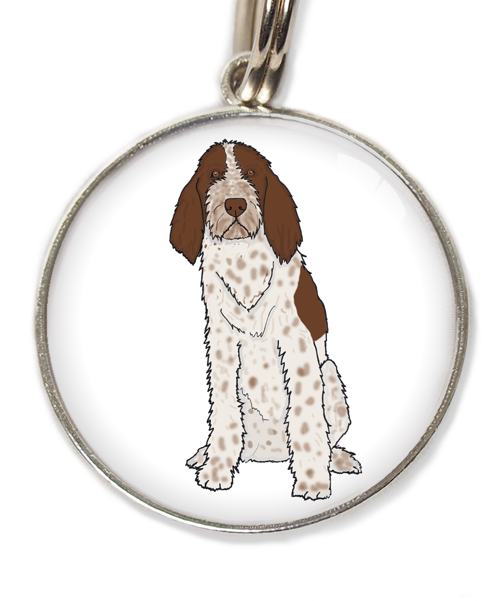 spinone-italiano-huisdierpenning-wit