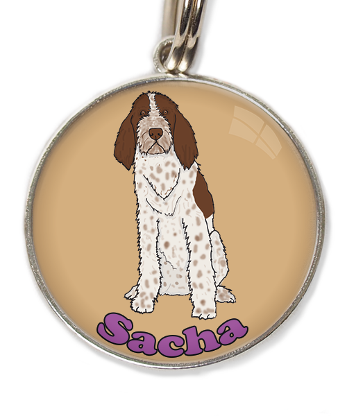 spinone-italiano-met-naam-los-huisdierpenning-beige