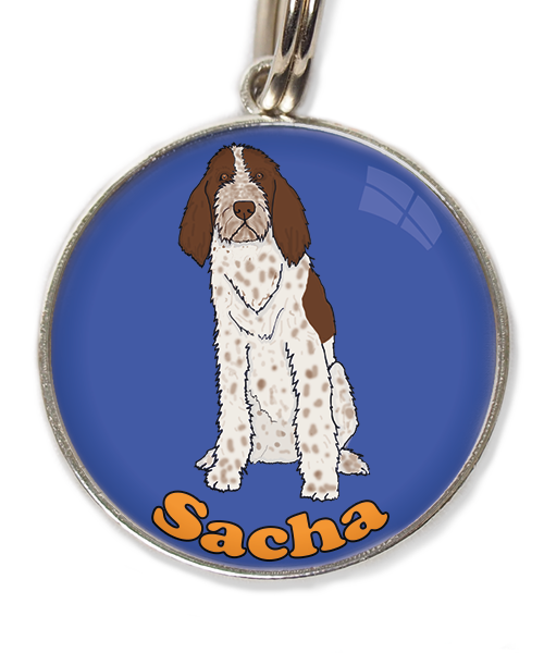 spinone-italiano-met-naam-los-huisdierpenning-blauw