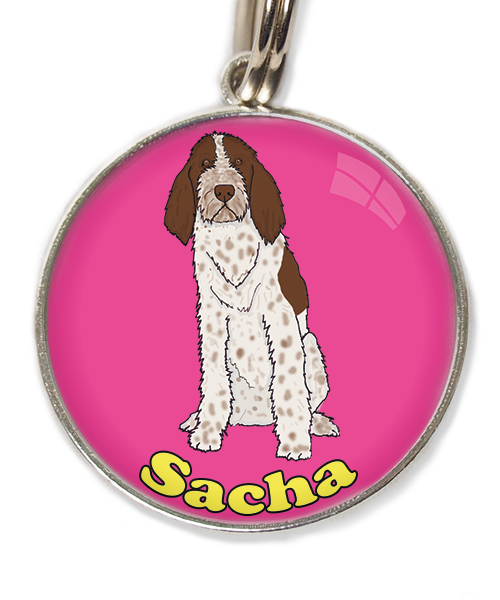 spinone-italiano-met-naam-los-huisdierpenning-fushia