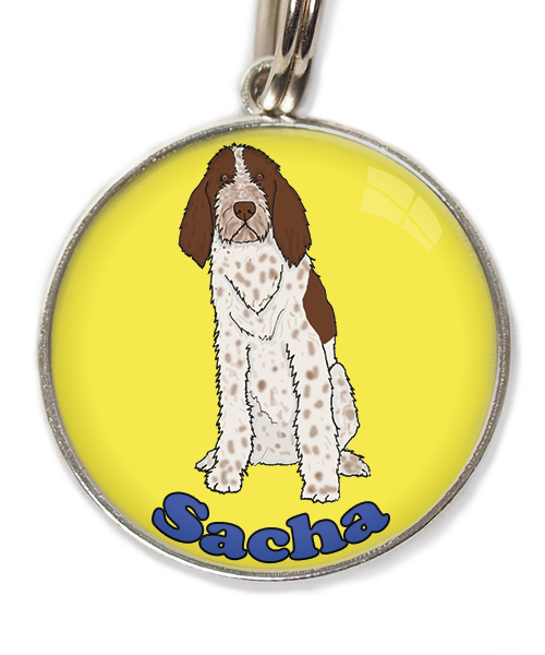 spinone-italiano-met-naam-los-huisdierpenning-geel
