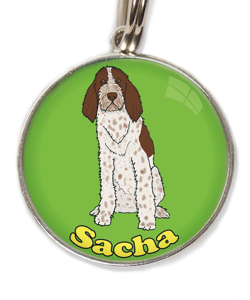 spinone-italiano-met-naam-los-huisdierpenning-groen