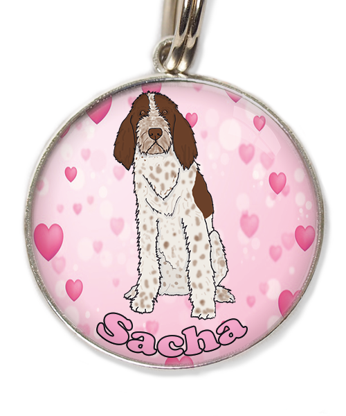 spinone-italiano-met-naam-los-huisdierpenning-hartjes