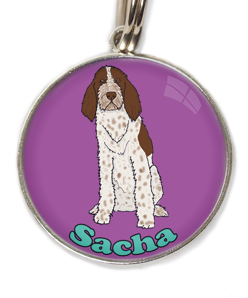 spinone-italiano-met-naam-los-huisdierpenning-lilla