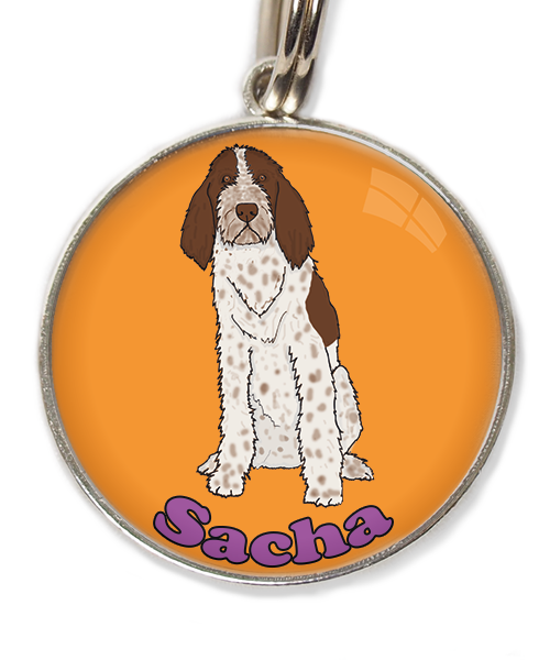spinone-italiano-met-naam-los-huisdierpenning-oranje