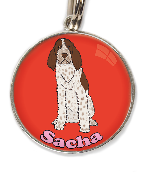 spinone-italiano-met-naam-los-huisdierpenning-rood