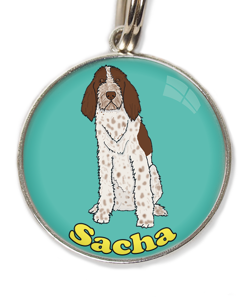 spinone-italiano-met-naam-los-huisdierpenning-turquoise