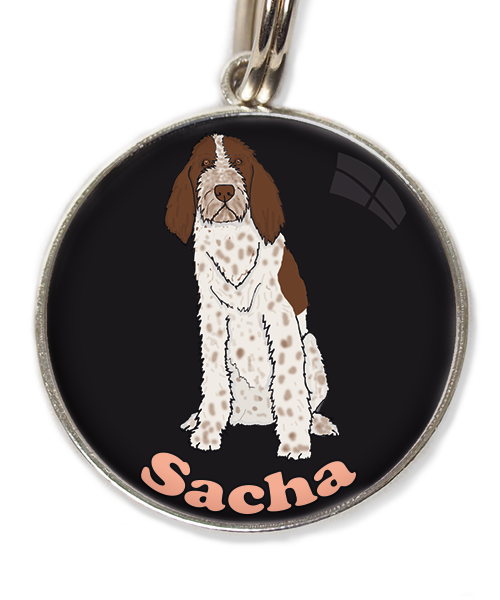 spinone-italiano-met-naam-los-huisdierpenning-zwart