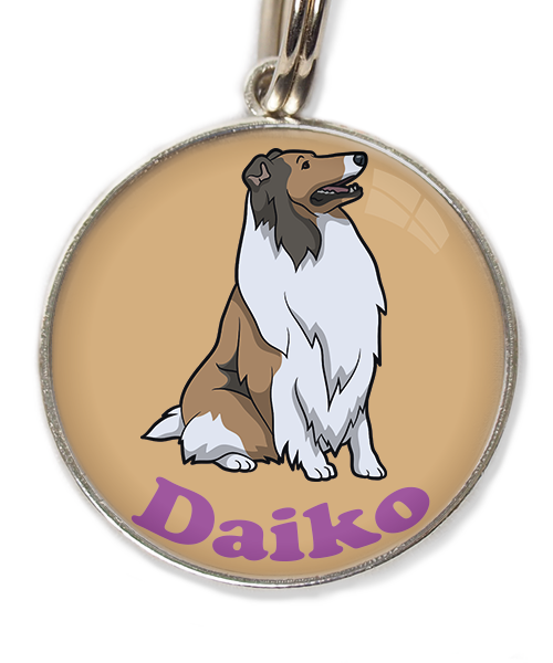 schotse-collie-met-naam-los-huisdierpenning-beige