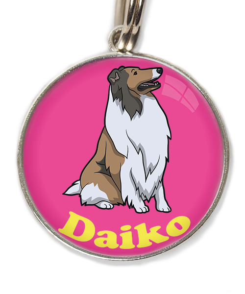 schotse-collie-met-naam-los-huisdierpenning-fushia