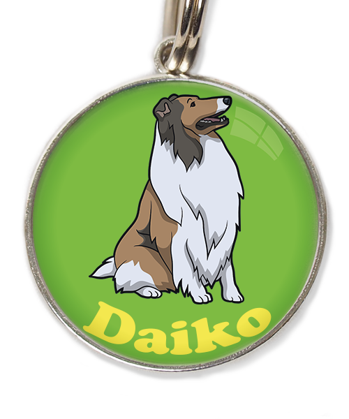 schotse-collie-met-naam-los-huisdierpenning-groen