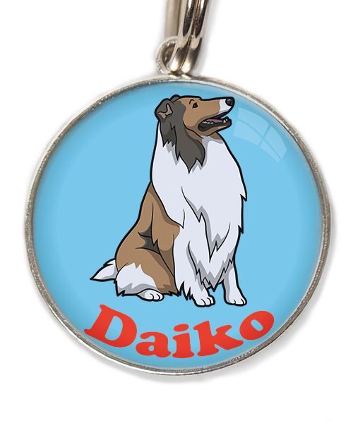 schotse-collie-met-naam-los-huisdierpenning-lichtblauw