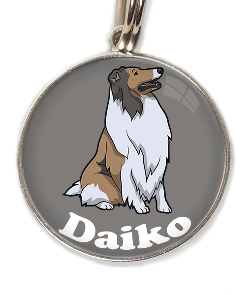 schotse-collie-met-naam-los-huisdierpenning-lichtgrijs