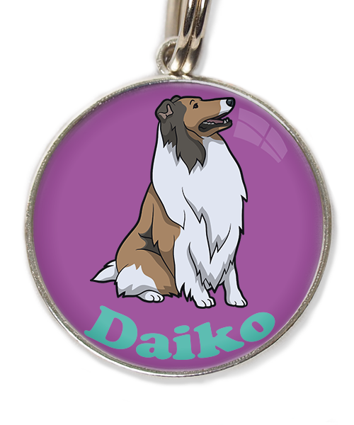 schotse-collie-met-naam-los-huisdierpenning-lilla