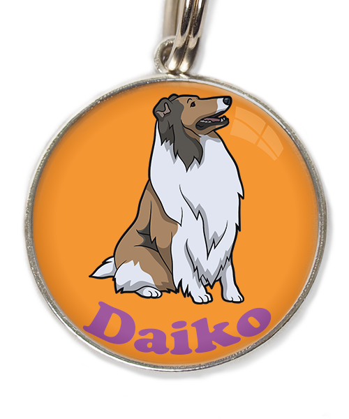 schotse-collie-met-naam-los-huisdierpenning-oranje