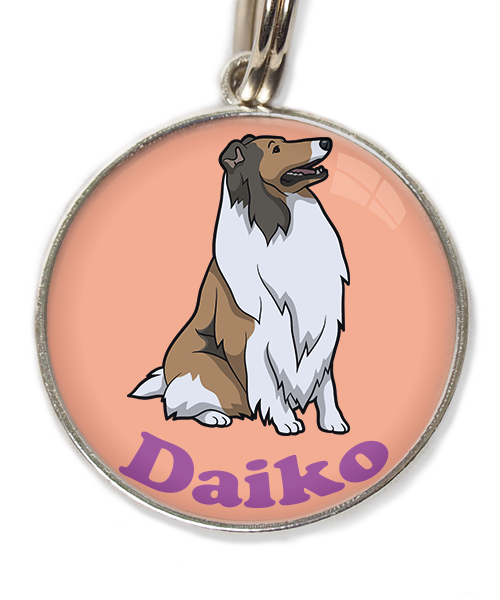 schotse-collie-met-naam-los-huisdierpenning-peach