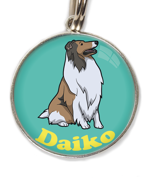schotse-collie-met-naam-los-huisdierpenning-turquoise