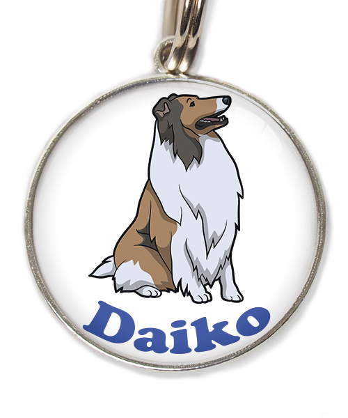 schotse-collie-met-naam-los-huisdierpenning-wit