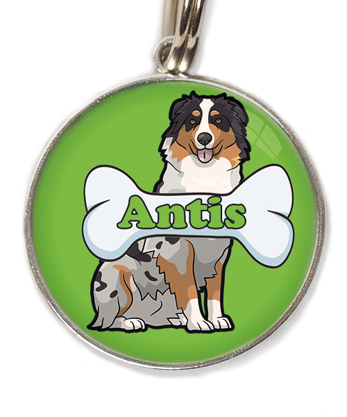 australian-sheperd-met-naam-been-huisdierpenning-groen