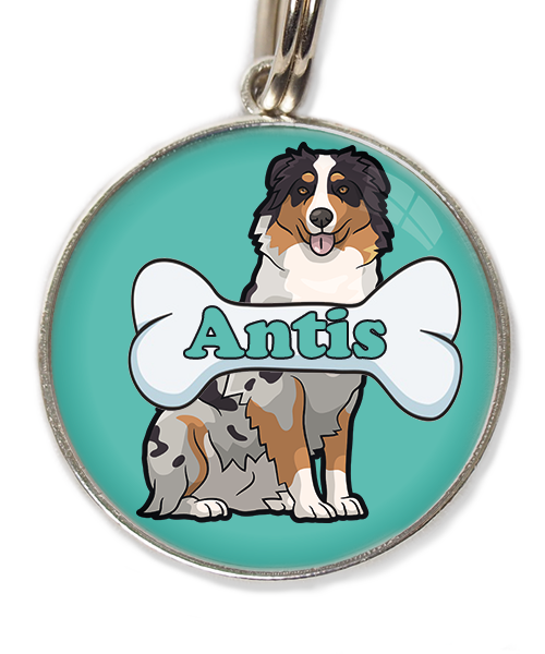 australian-sheperd-met-naam-been-huisdierpenning-turquoise