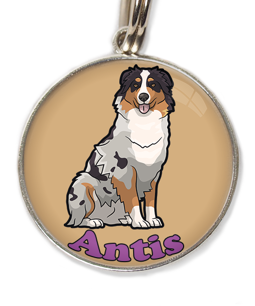 australian-sheperd-met-naam-los-huisdierpenning-beige