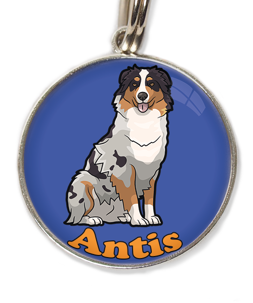 australian-sheperd-met-naam-los-huisdierpenning-blauw