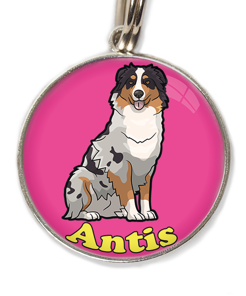 australian-sheperd-met-naam-los-huisdierpenning-fushia