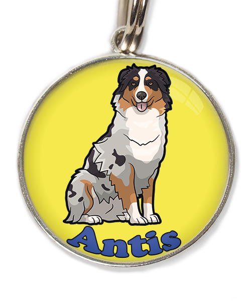 australian-sheperd-met-naam-los-huisdierpenning-geel