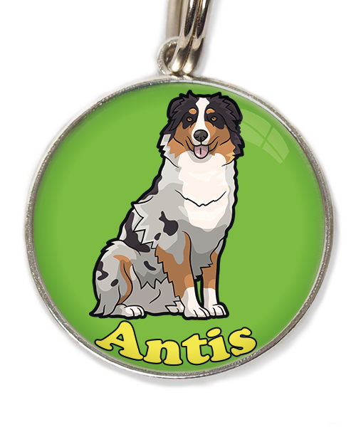 australian-sheperd-met-naam-los-huisdierpenning-groen