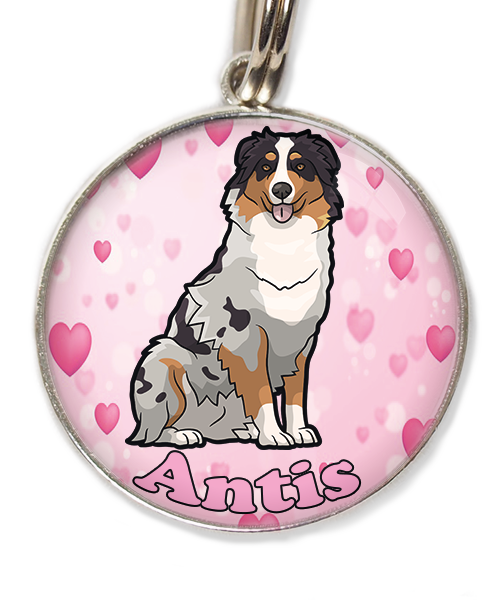 australian-sheperd-met-naam-los-huisdierpenning-hartjes