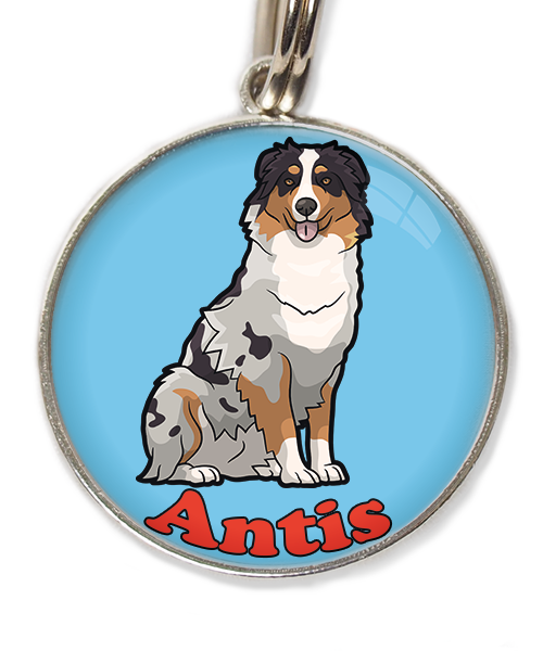 australian-sheperd-met-naam-los-huisdierpenning-lichtblauw