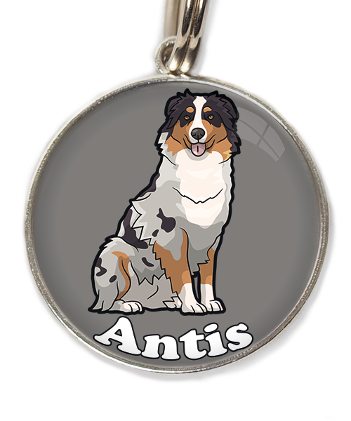 australian-sheperd-met-naam-los-huisdierpenning-lichtgrijs