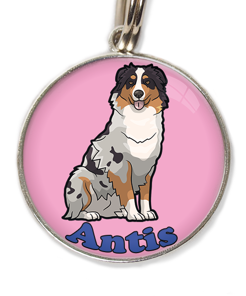 australian-sheperd-met-naam-los-huisdierpenning-lichtroos