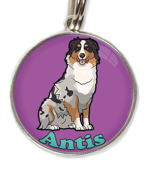 australian-sheperd-met-naam-los-huisdierpenning-lilla