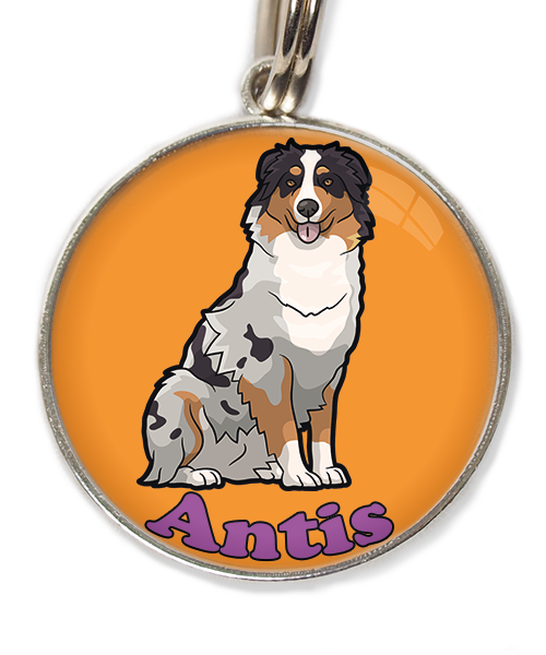 australian-sheperd-met-naam-los-huisdierpenning-oranje