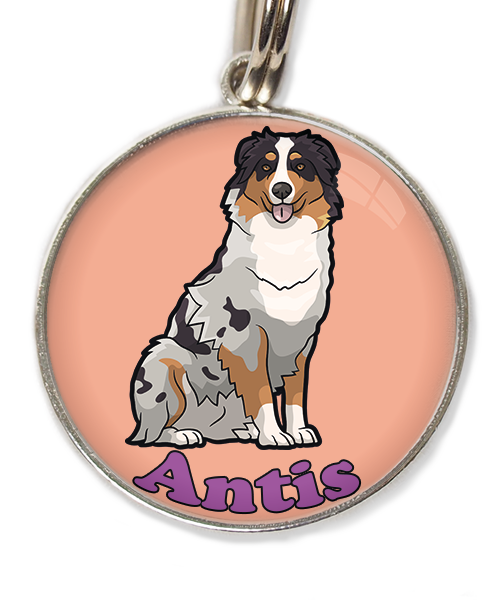 australian-sheperd-met-naam-los-huisdierpenning-peach