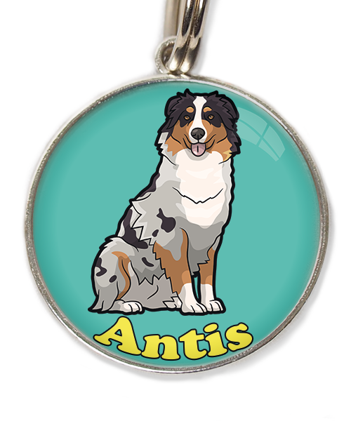 australian-sheperd-met-naam-los-huisdierpenning-turquoise