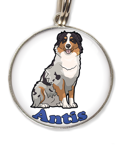 australian-sheperd-met-naam-los-huisdierpenning-wit