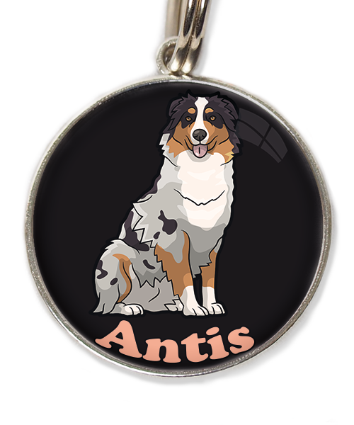 australian-sheperd-met-naam-los-huisdierpenning-zwart