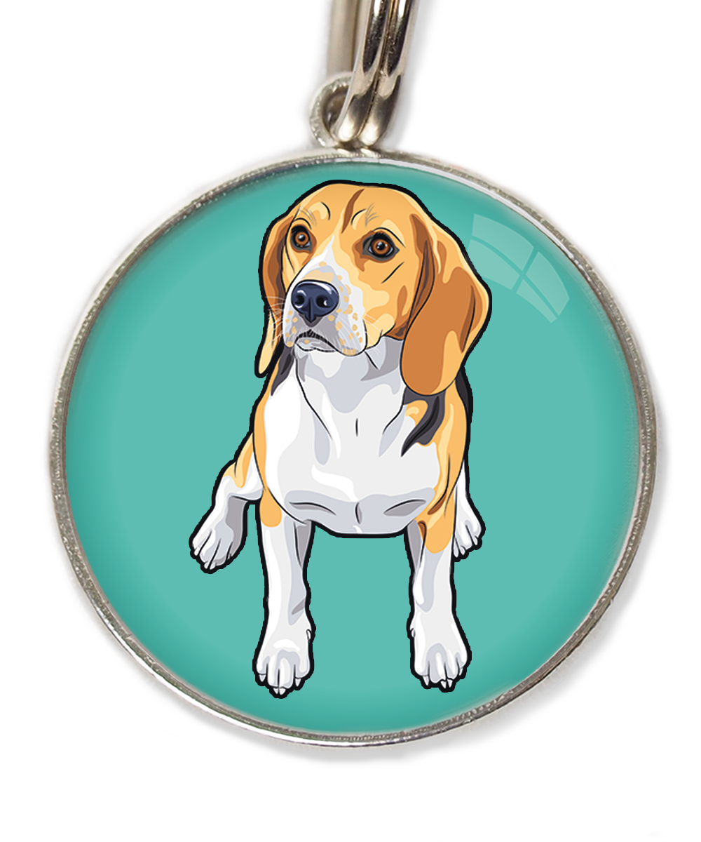 beagle-huisdierpenning-turquoise