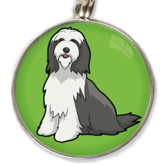 Bearded Collie